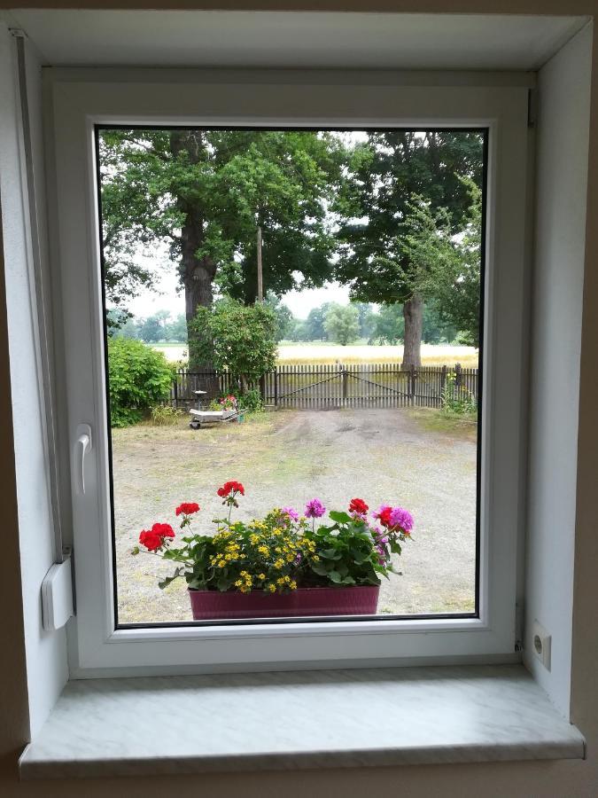 Ferienwohnung Bittner Klitten Exteriér fotografie